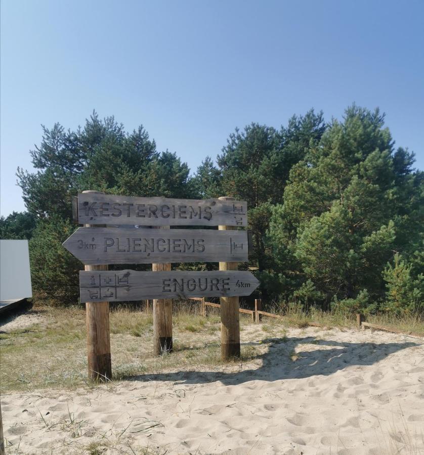Albatross Getaway By The Sea, Spa And Forest With A Terrace Ķesterciems Eksteriør billede
